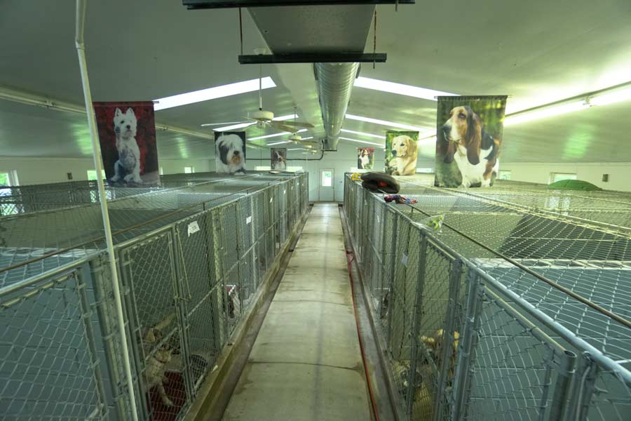 Sorenson Kennels Dog Boarding