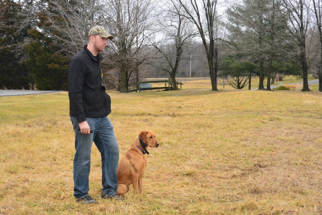 Dog Hunting Training in St. Charles, MO Professional Dog Trainer