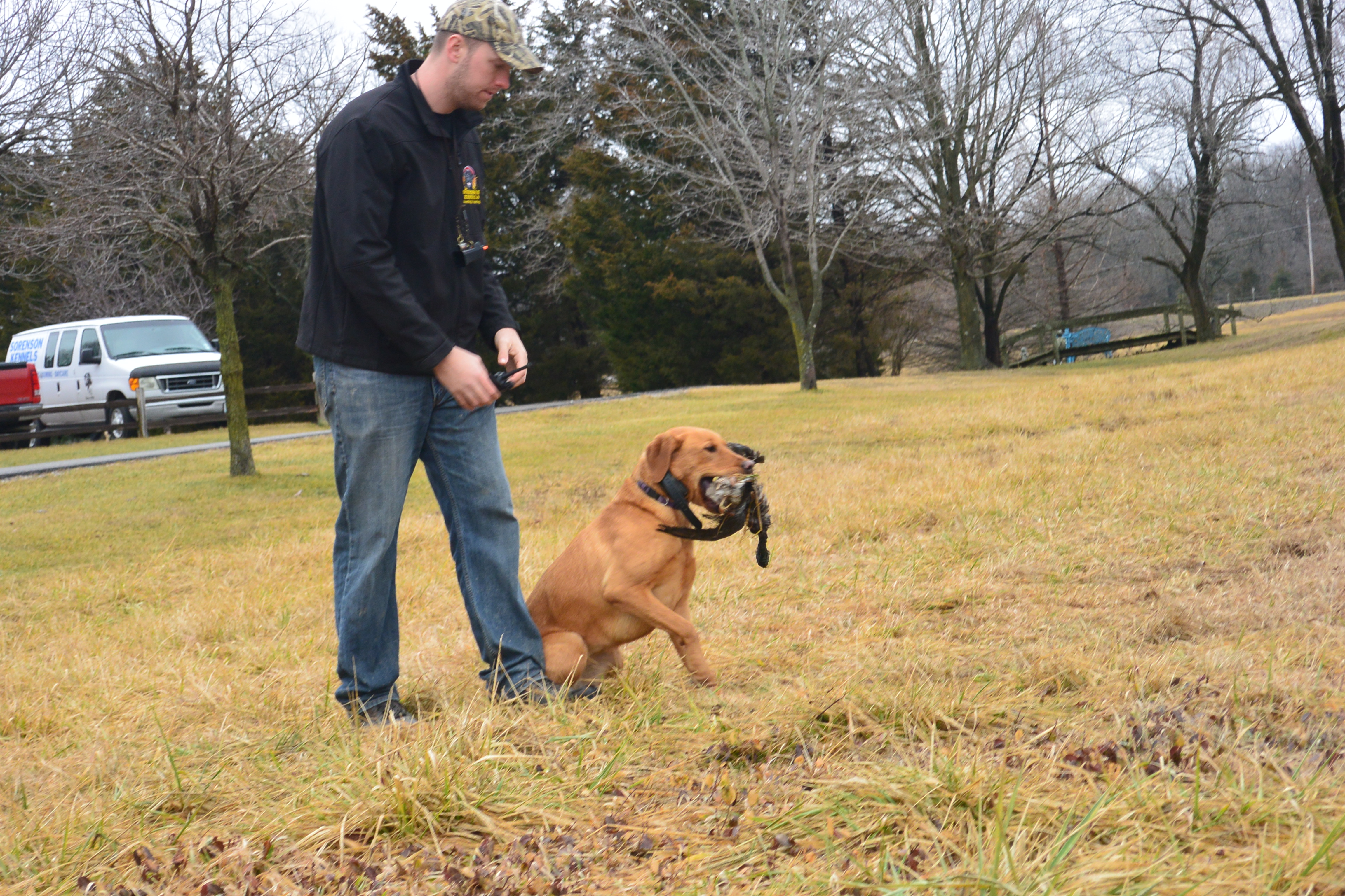 Dog Hunting Training in St. Charles, MO Professional Dog Trainer