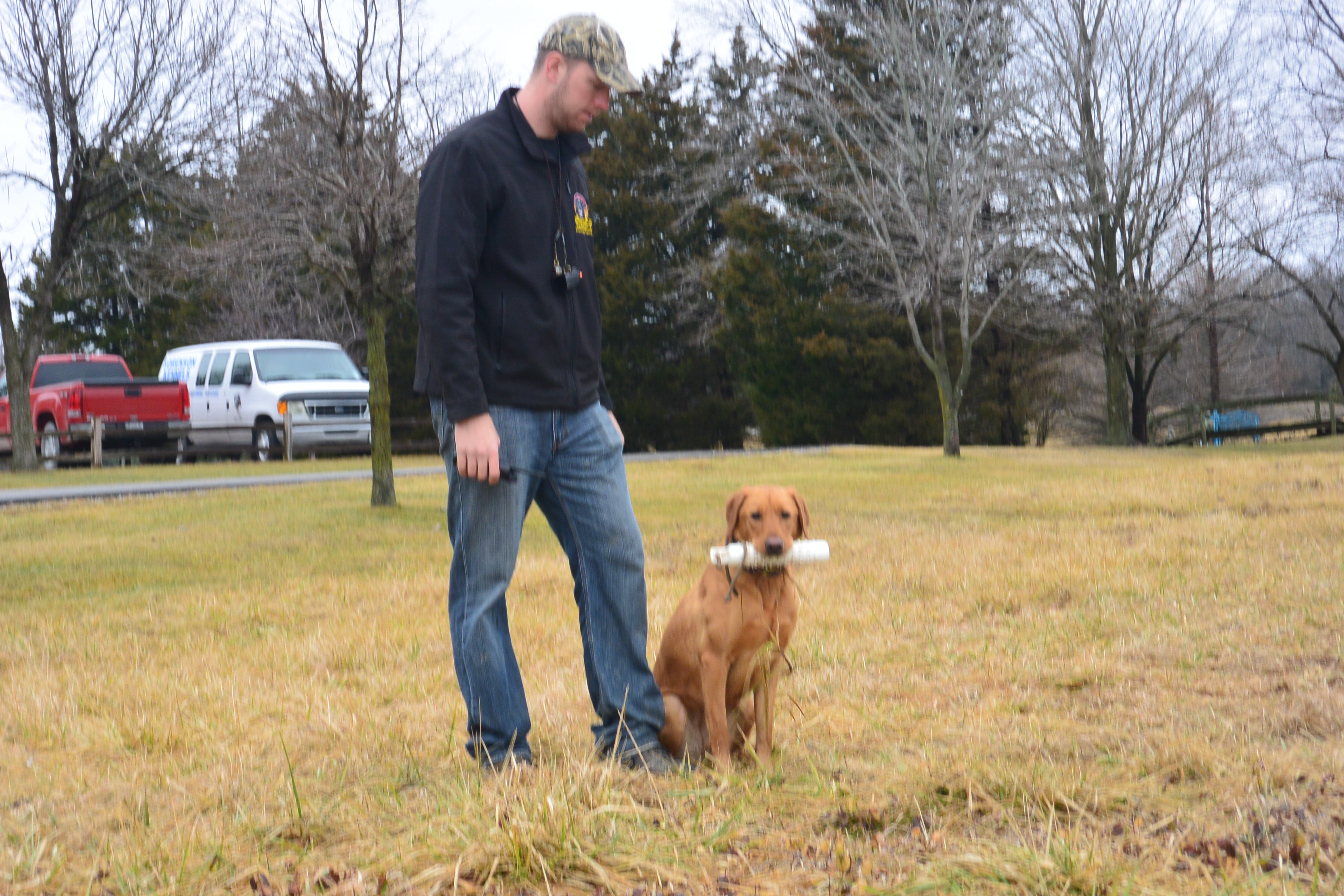 Dog Hunting Training in St. Charles, MO Professional Dog Trainer