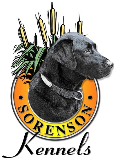 Sorenson Kennels Logo